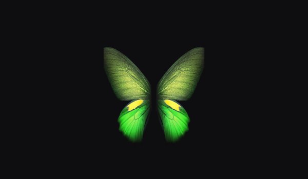 Зеленая бабочка на черном фоне