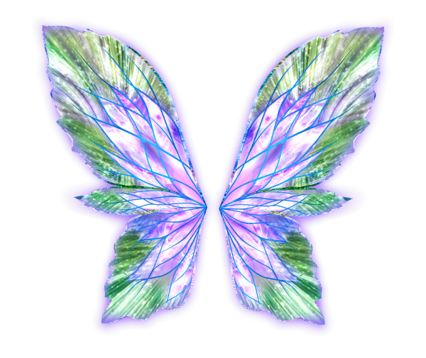 Крылья бабочки на зеленом фоне