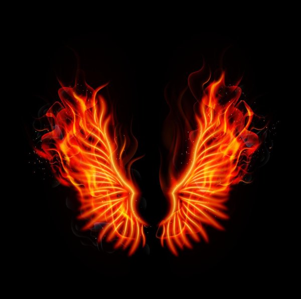 Крылья в огне