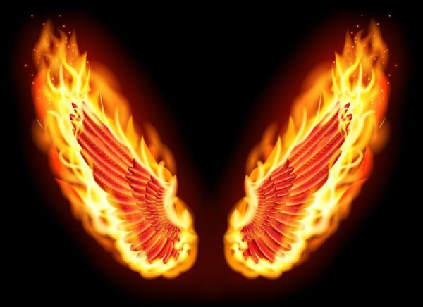 Крылья из огня