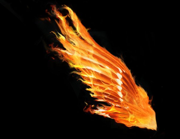 Крылья в огне