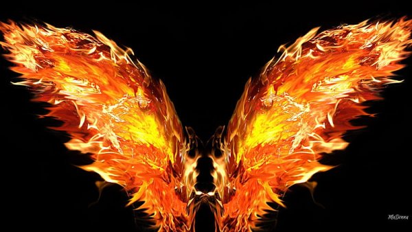 Крылья в огне фон