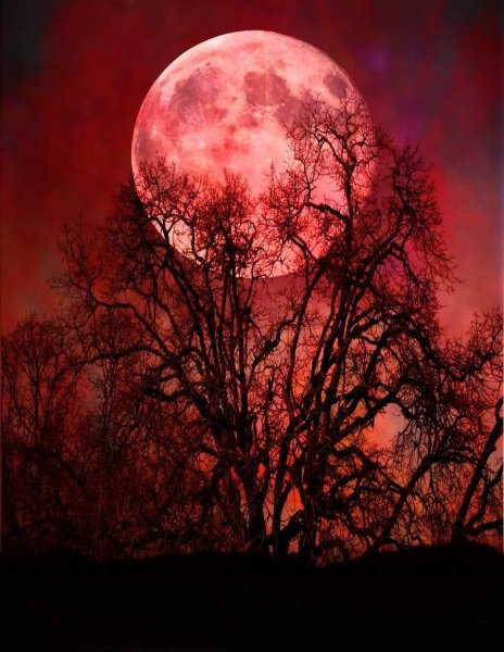 Кровавая луна фон
