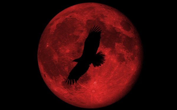 Красная Луна на черном фоне