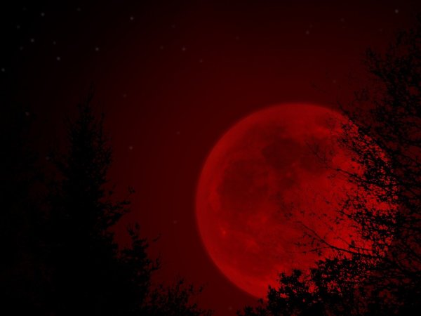 Кровавая Луна 2022