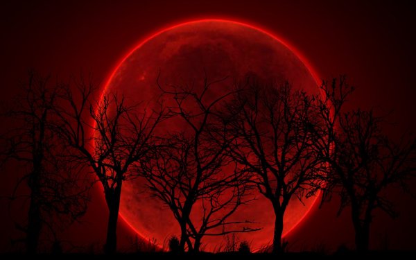 Полнолуние Кровавая Луна