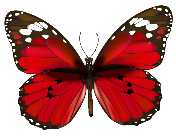 Красная бабочка Баттерфляй