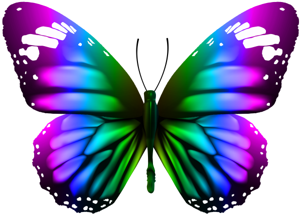 Яркие цветные бабочки