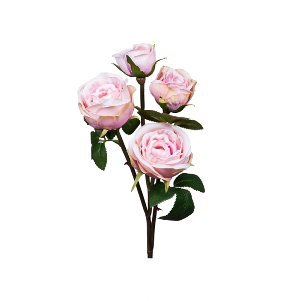 Роза кустовая Одиллия