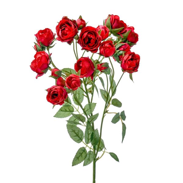 Роза кустовая красная Мирабель