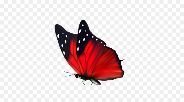 Красные бабочки на прозрачном фоне