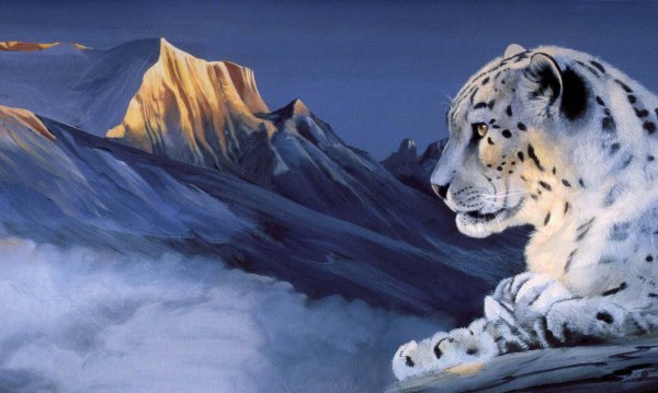Снежный Барс на фоне гор