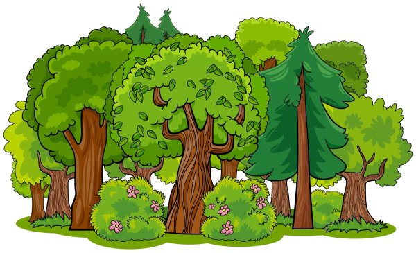 Рисунок леса для детей