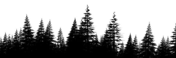 Черный силуэт леса
