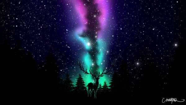 Олень и звездное небо