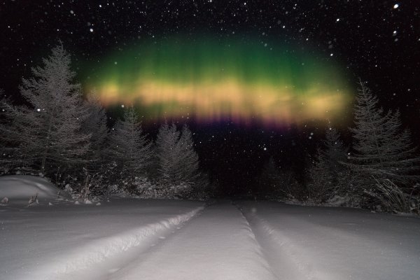 Северное сияние зима лес