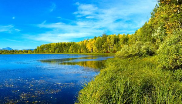 Озеро Лесное Тверь