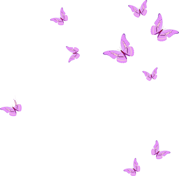 Летающие бабочки на белом фоне