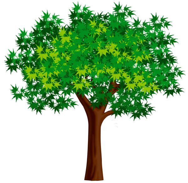 Летнее дерево для дошкольников