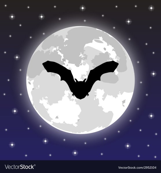 Летучая мышка на фоне Луны