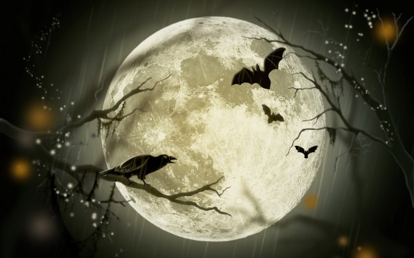 Летучая мышь на фоне Луны ночью