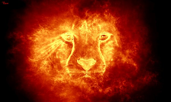 Лев в огне