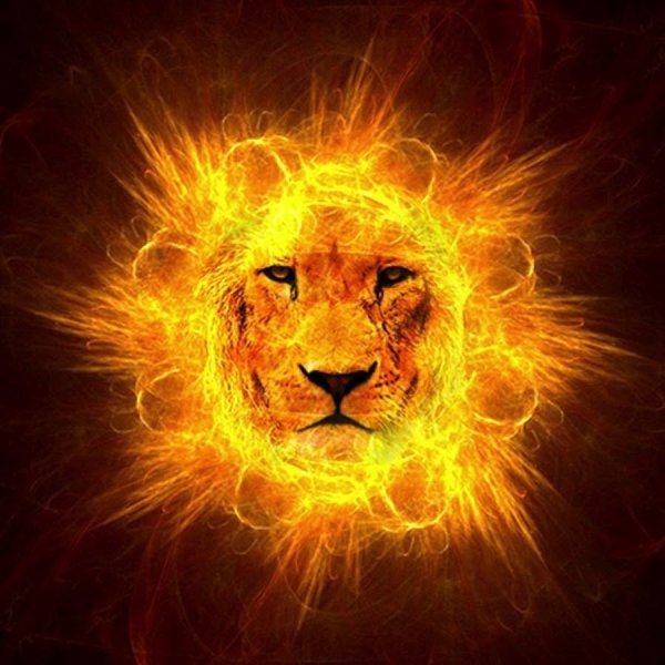 Огненный Лев картинки