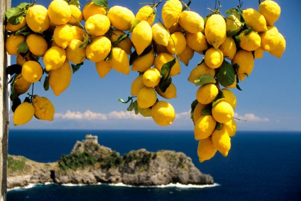 Амальфитанское побережье лимоны