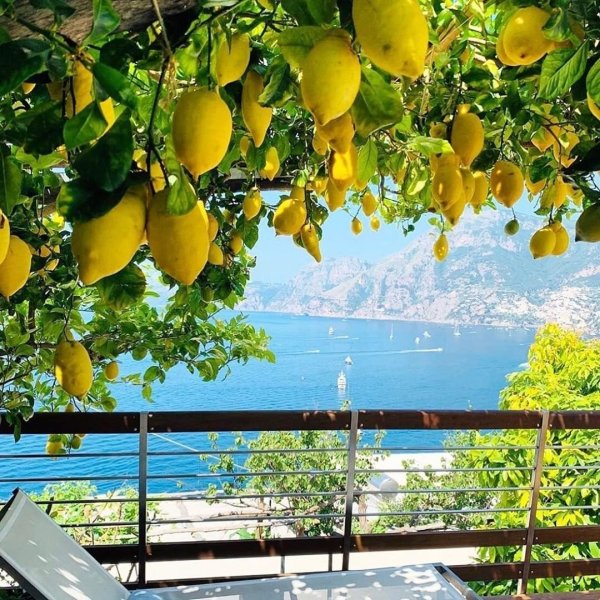 Лимонные сады Амальфи