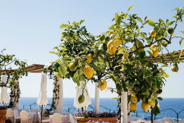 Сицилия лимоны