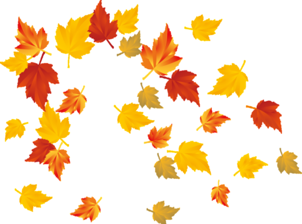 Клипарт осенние листья на прозрачном фоне
