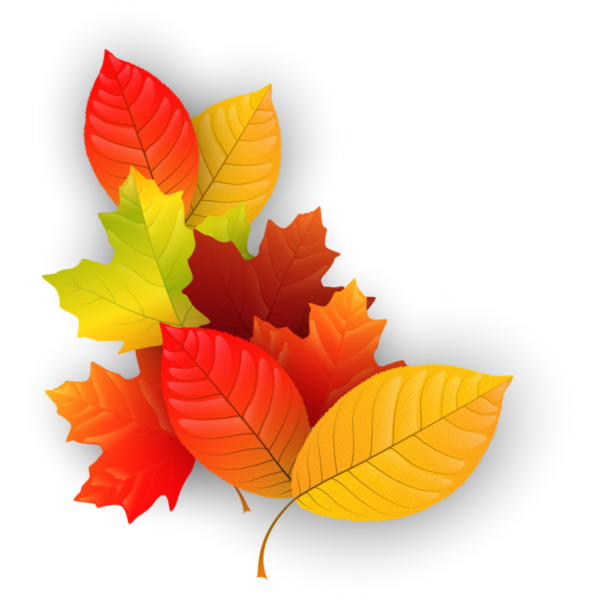 Осенние листья на прозрачном фоне