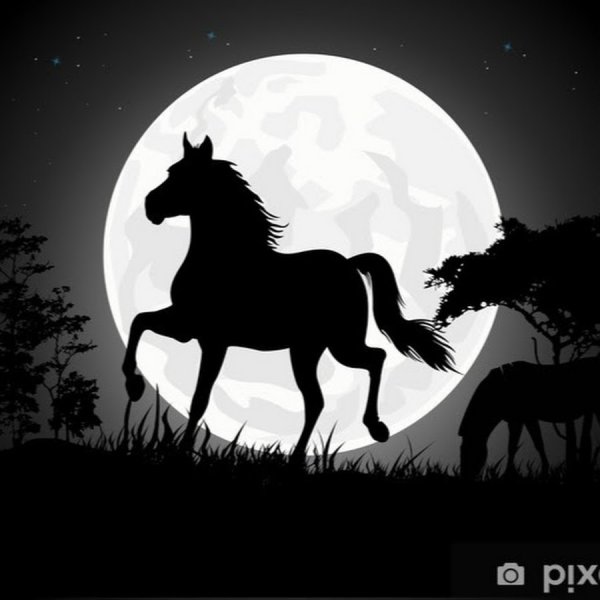 Силуэты лошадей на фоне Луны