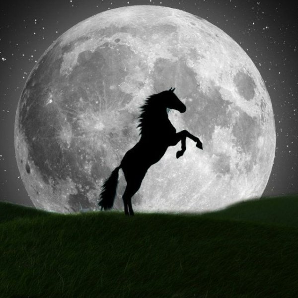 Конь на фоне Луны