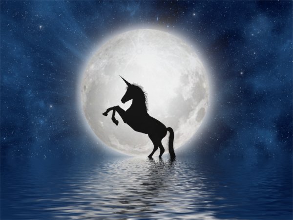 Лунный конь