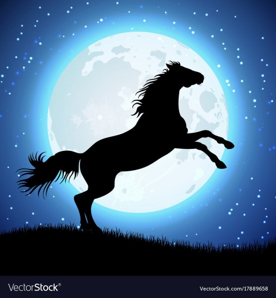 Лошадь и Луна