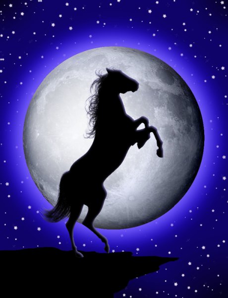 Лунный конь