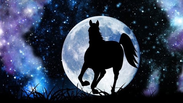 Лошадь и Луна