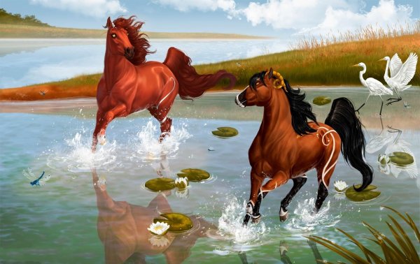 Картинки лошадей