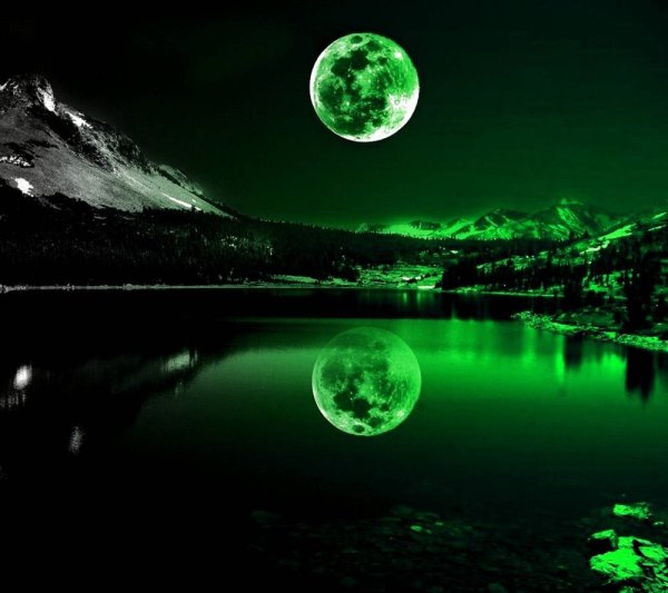 Зеленая ночь