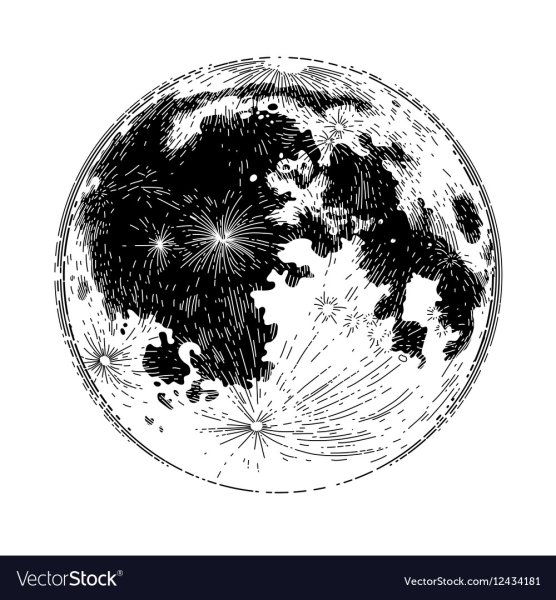 Луна черно белый вектор