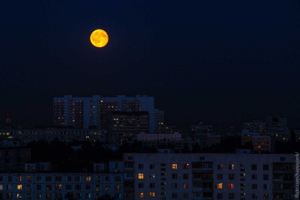 Лунная ночь в городе