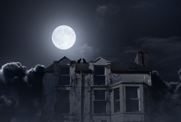 Луна над домами