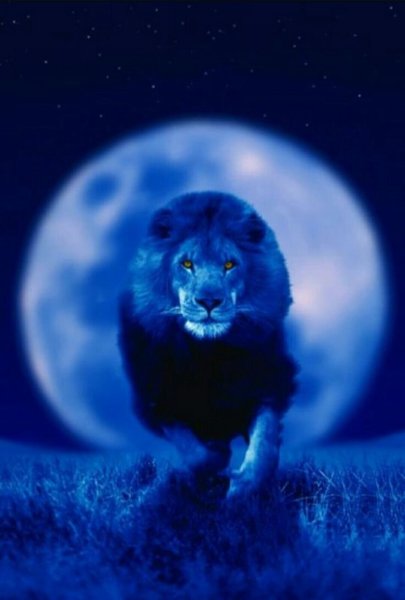 Лунный Лев