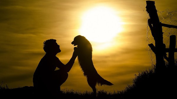 Человек с собакой на закате