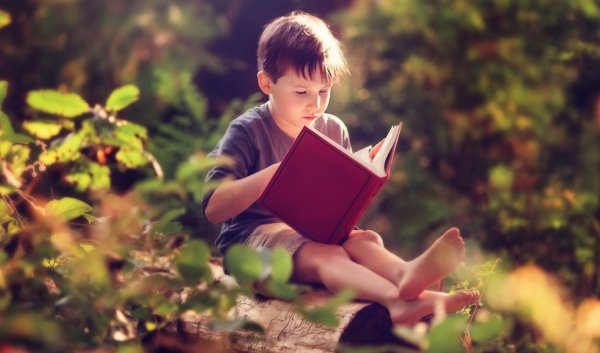 Мальчик с книжкой