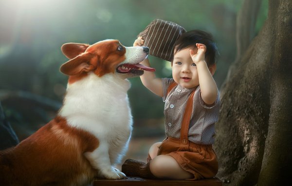 Мальчик с собакой обои