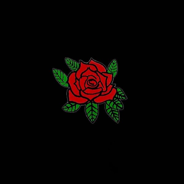 Маленькая красная роза на черном фоне