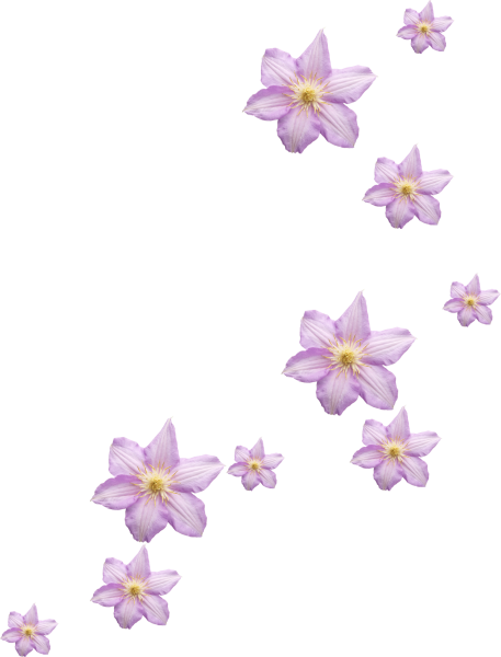 Маленькие цветы