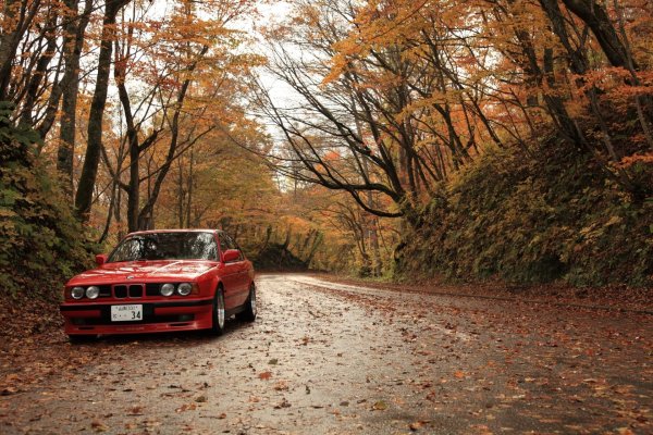BMW e34 красная в лесу